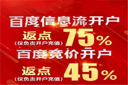 某电商平台的SEM推广实践与效果展示